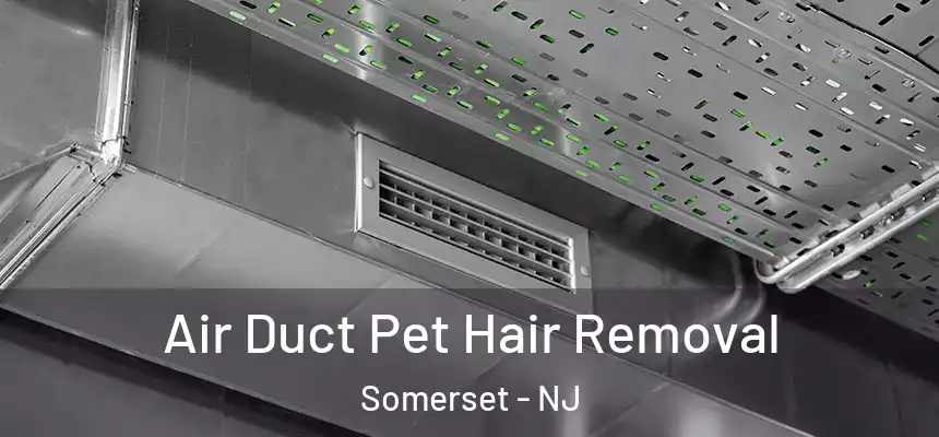 Air Duct Pet Hair Removal Somerset - NJ