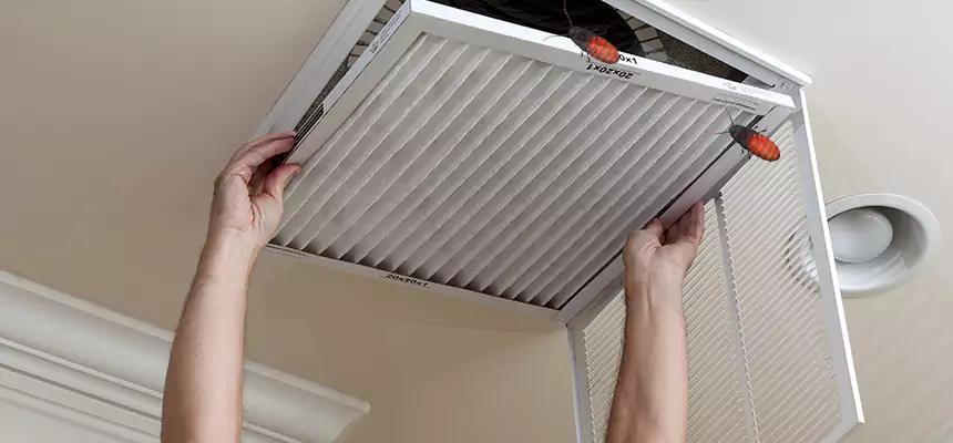 Our Insect Removal from Air Ducts Services in Somerset, NJ