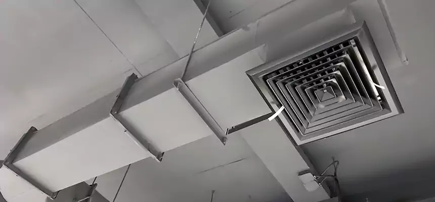 Our Pest Removal From Ducts Services in Somerset, NJ