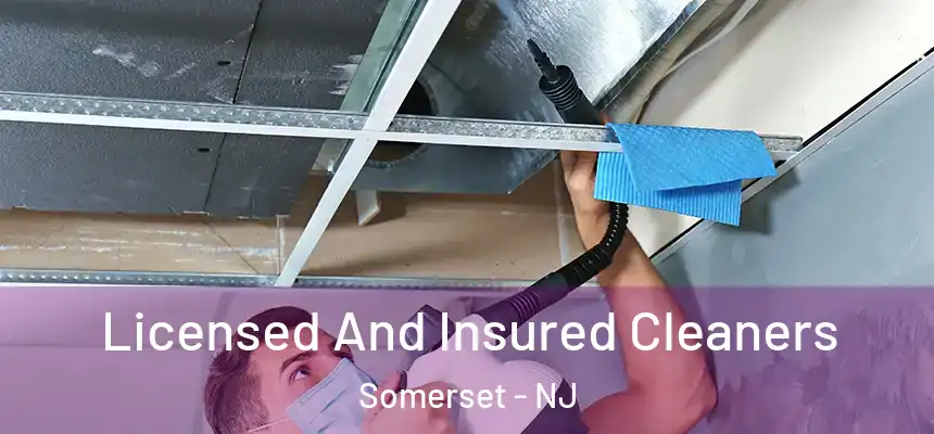  Licensed And Insured Cleaners Somerset - NJ