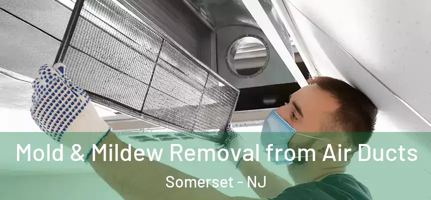 Mold & Mildew Removal from Air Ducts Somerset - NJ