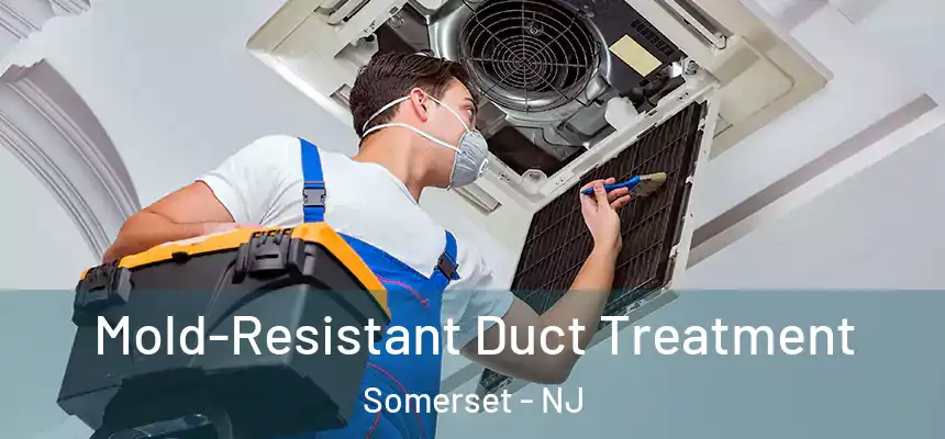  Mold-Resistant Duct Treatment Somerset - NJ