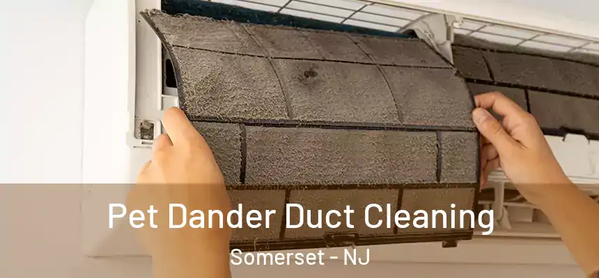  Pet Dander Duct Cleaning Somerset - NJ
