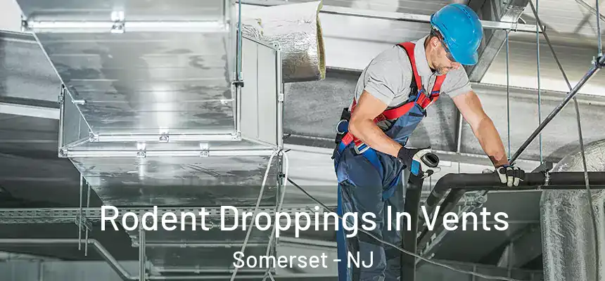  Rodent Droppings In Vents Somerset - NJ