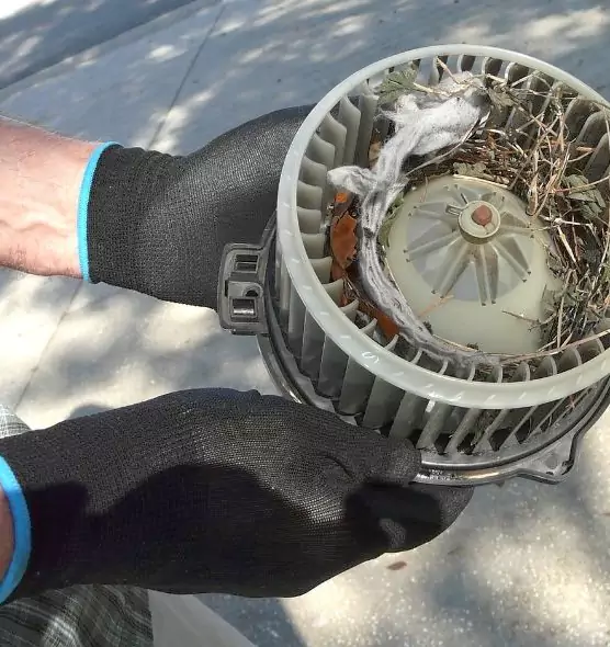 About Air Duct Mice Removal in Somerset, NJ