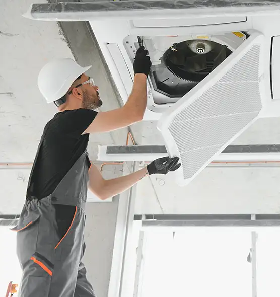 About Air Duct Rodent Removal in Somerset, NJ