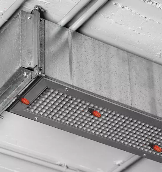 Affordable Insect Removal from Air Ducts in Somerset, NJ