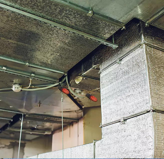 Why Homeowners & Businesses Trust Us in Somerset, NJ?