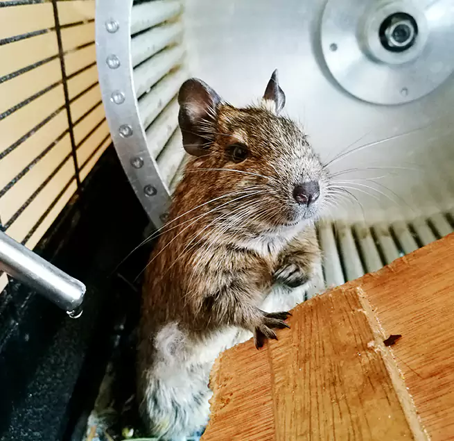 Why Homeowners & Businesses Trust Us Somerset, NJ?