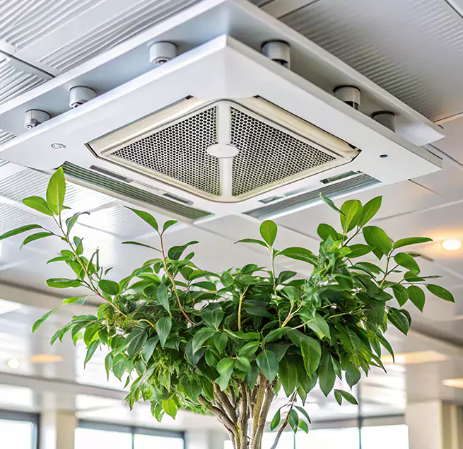 Why Homeowners & Businesses Trust Us in Somerset, NJ