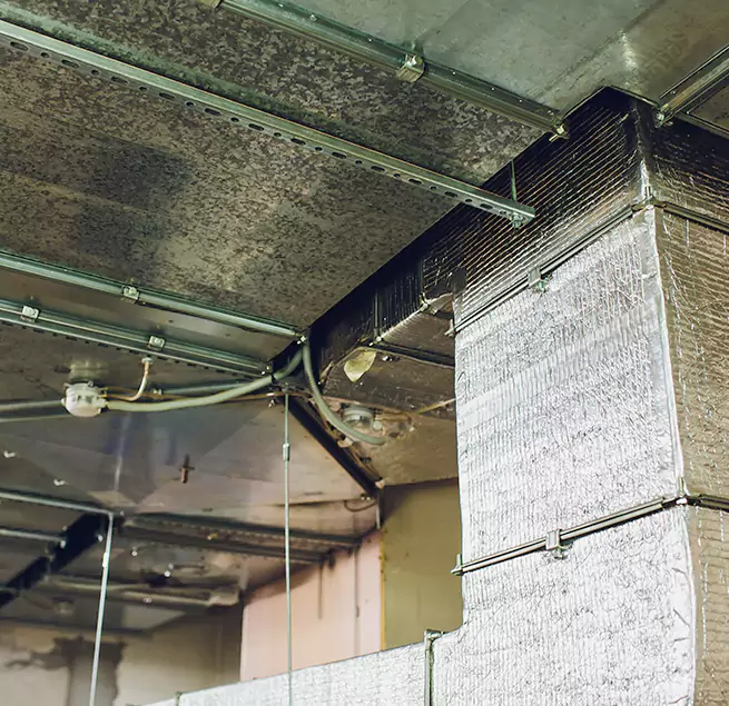 Why Homeowners & Businesses Trust Us in Somerset, NJ?